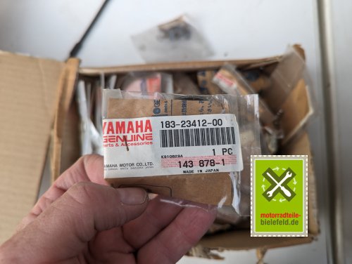 PXL_20240528_171305569